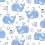 Baby Beluga Whales