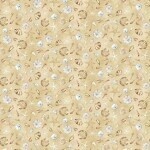 Beach Bound Sand Shells