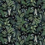 Botanical Journal Black Ferns