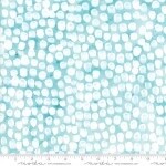 Brightly Blooming Lt. Aqua