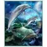 Dazzling Dolphins Panel
