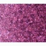 Effervescence Plum