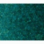Effervescence Evergreen