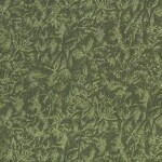 Fairy Frost Moss