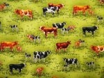 Farm Fresh Cows  AKO 11415-47