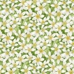 Fresh Picked Lemons Flowers