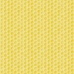 Fresh Picked Lemons Honeycomb