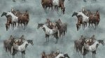 Frontier Feature Horses