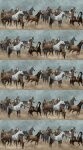 Frontier Horse Border Stripe