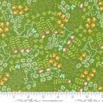 Here Kitty Kitty Grass