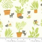 Here Kitty Kitty Cream
