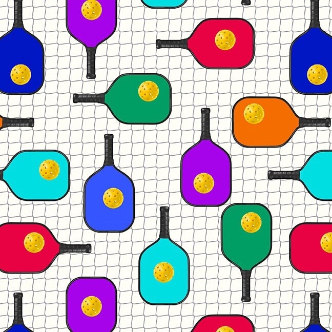 Pickleball Paddles on Net
