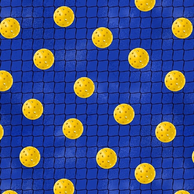 Pickleballs on Net Blue