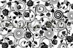 Jet Black on White