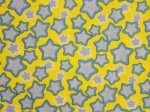 Little Bear Counts Stars  963Y