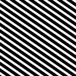 My Favorite Trucks Stripes Black/White