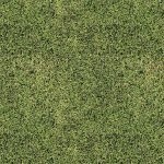 Naturescapes Grass