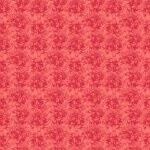 Morning Blossom Red Chrysanthemum