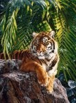 Jungle Queen 33&quot; Panel
