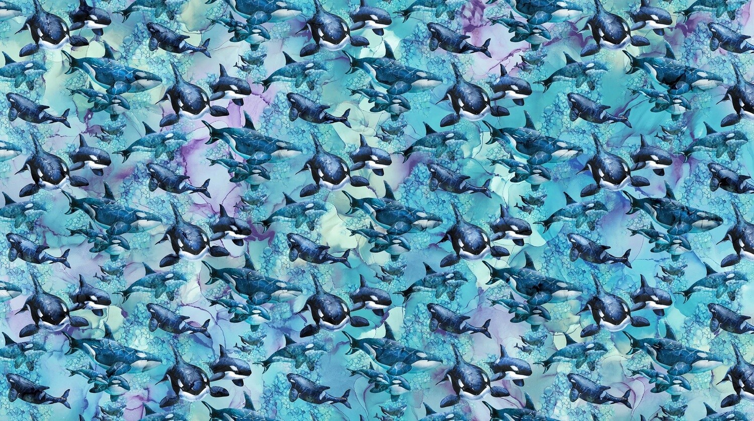 Whale Song Allover Whales