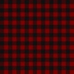 West Creek Red Black Check