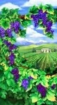 Vineyard Digital Panel 24in