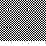 Turbo Speed Black Check