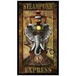 Steampunk Express Panel