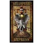 Steampunk Express Panel