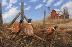 Pheasant Run 28&quot; Panel