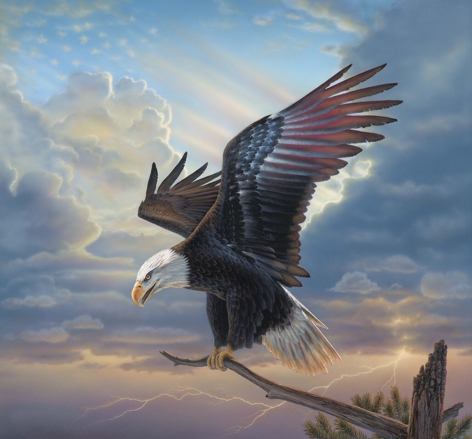 Winged Glory 40&quot; Panel