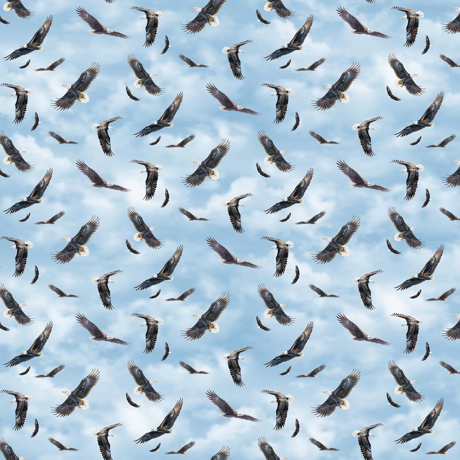 Winged Glory Eagles on Blue