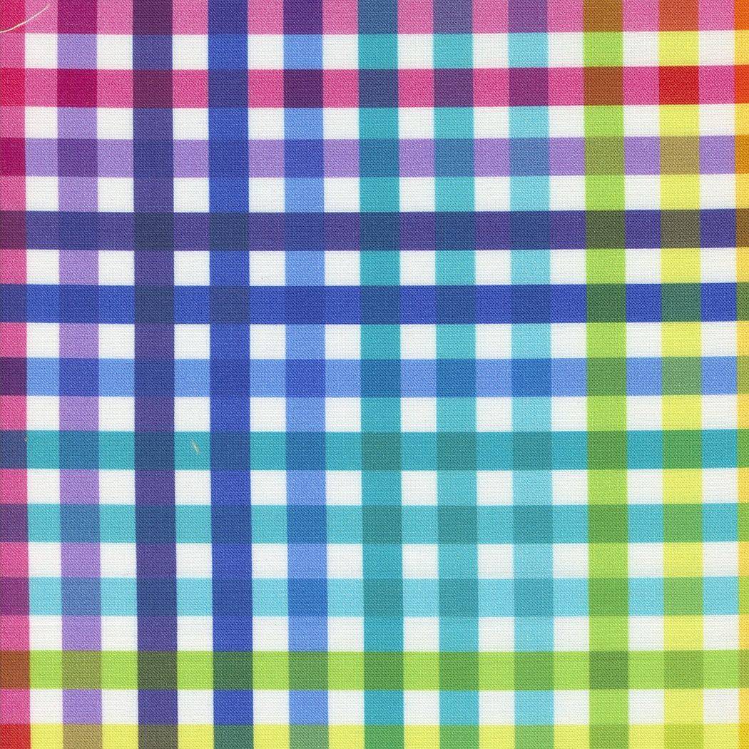 Fiesta Plaid Multi
