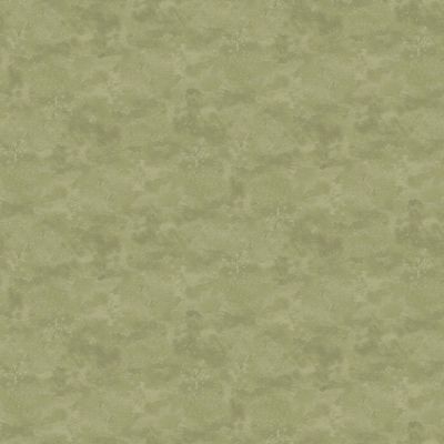 Toscana Chameleon