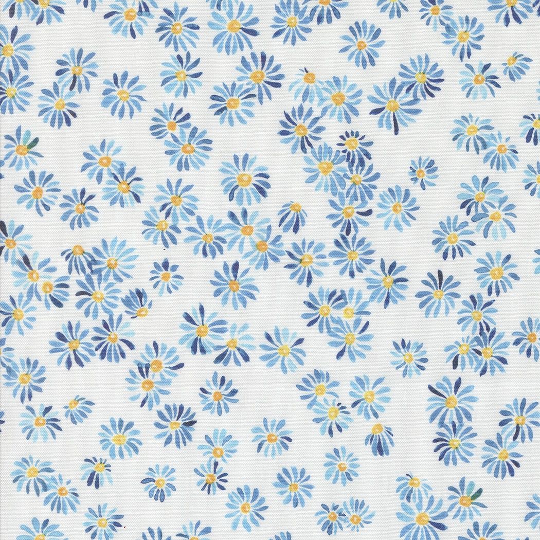 Sunshine &amp; Blue Skies Blue Daisies