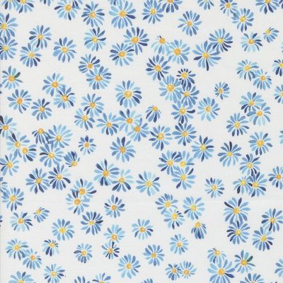 Sunshine & Blue Skies Blue Daisies