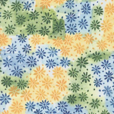 Sunshine & Blue Skies Multi Background