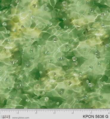 Koi Pond Green Water