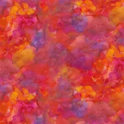 Coral Reef