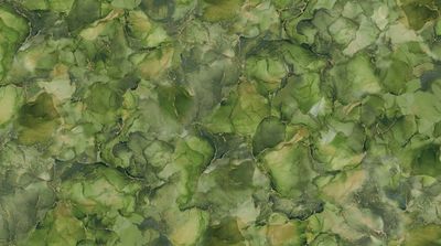 Midas Olive