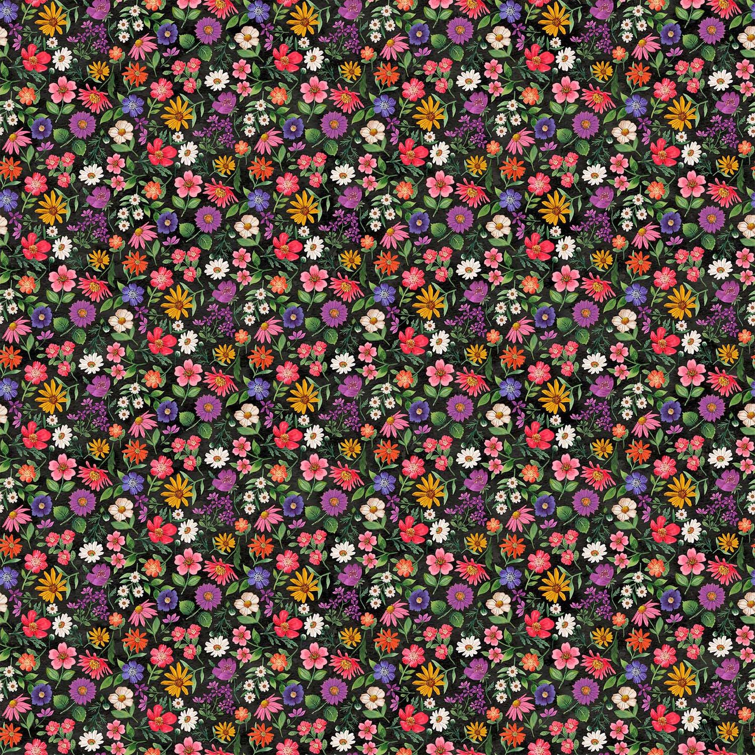 Hide And Seek Blk Multi