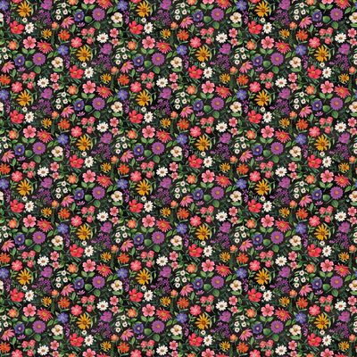 Hide And Seek Blk Multi