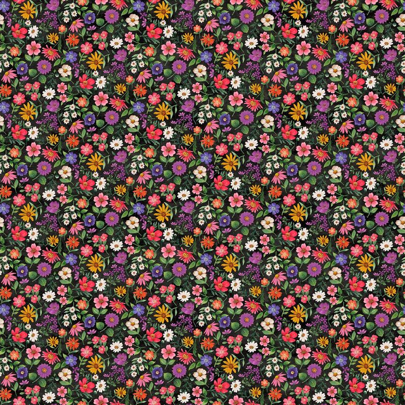 Hide And Seek Blk Multi