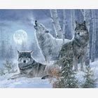 Under the Moonlight 1 yard Wolf Panel