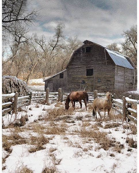 Winterwind Stables 35" Panel