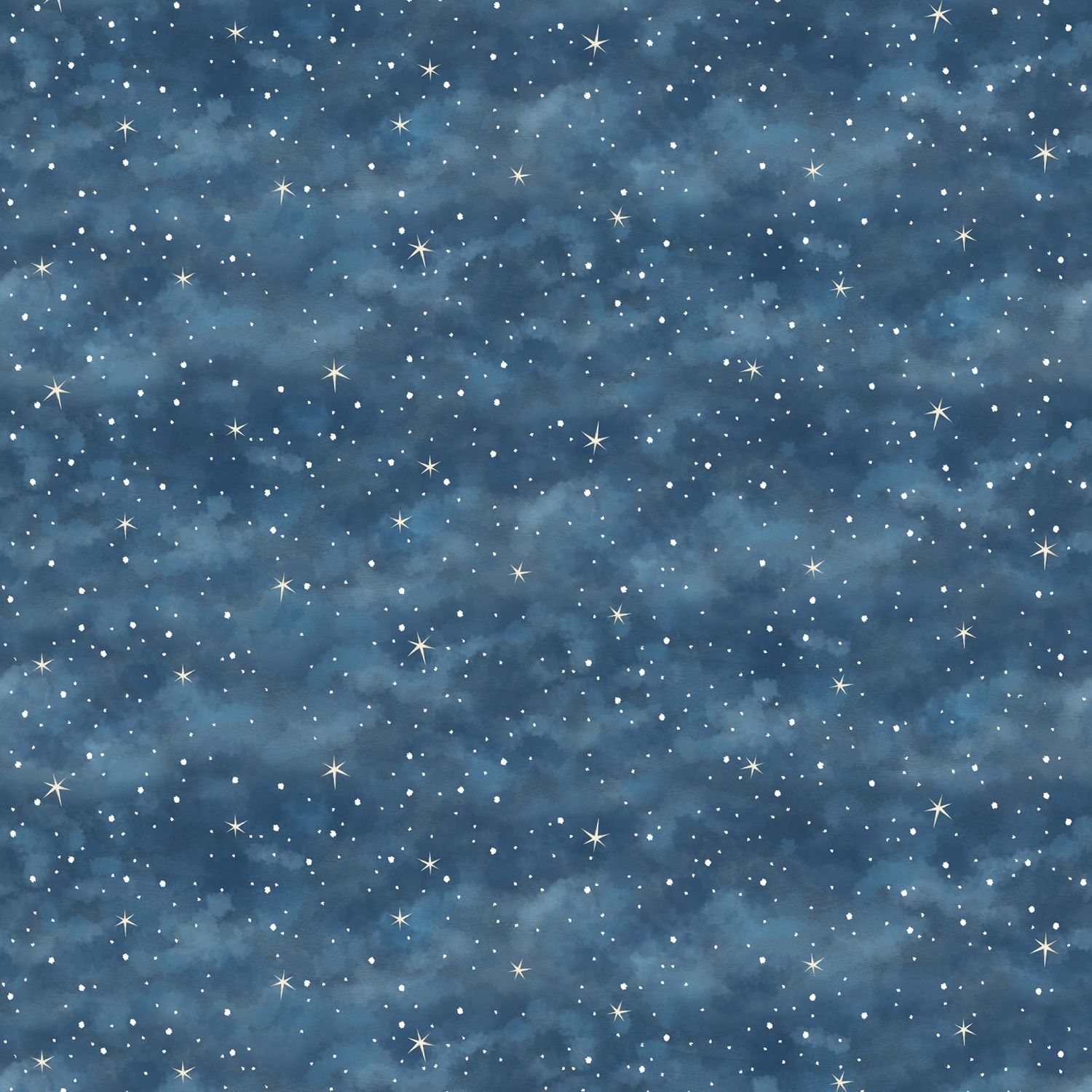 It's the Holidays Night Sky