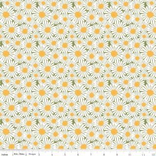 Sunshine &amp; Dandelions Daisies Green