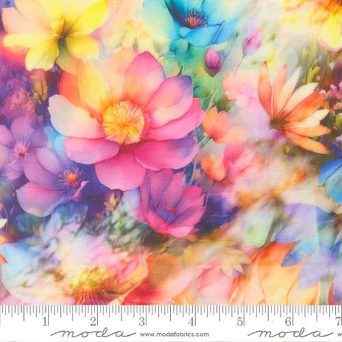 Gradients Gallery Flowers