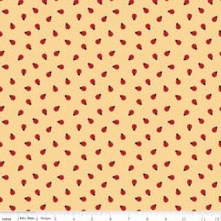 Little Ladybug - Ladybugs on Yellow