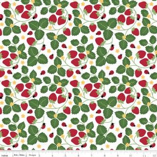 Little Ladybug Strawberries White